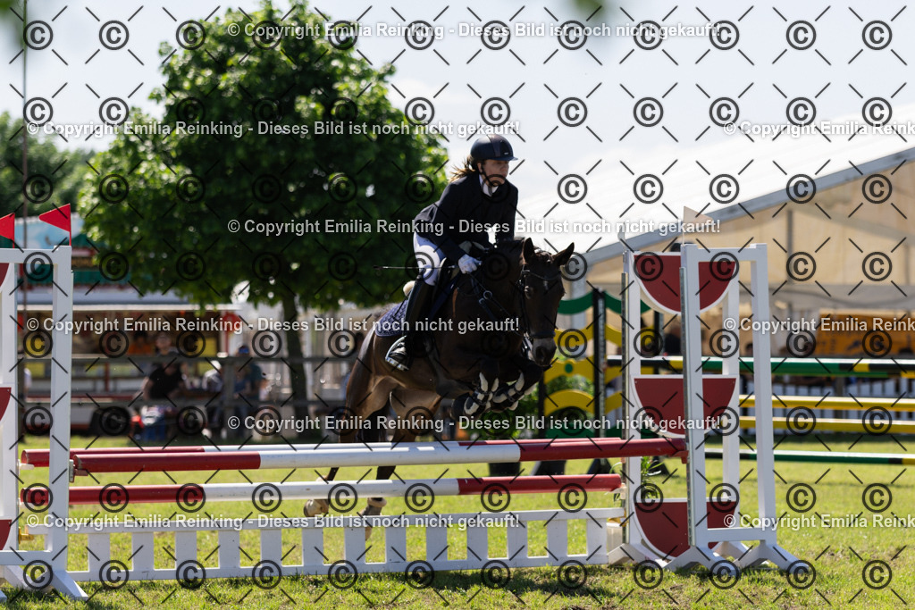 CL5A1027 | Emilia Reinking Fotografie - Realisiert mit Pictrs.com