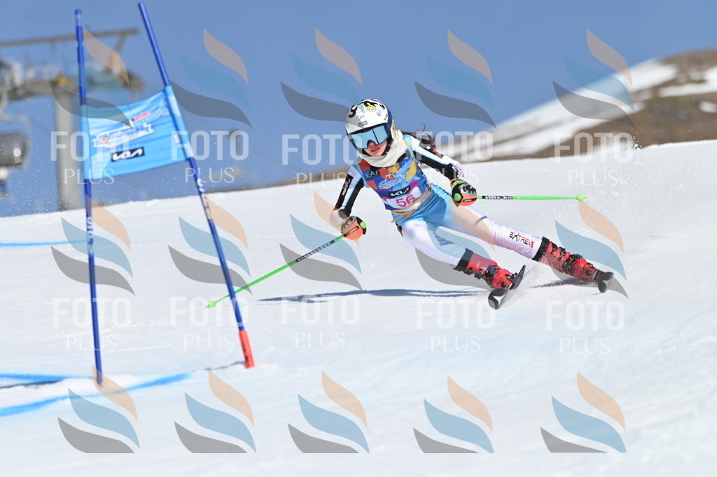 BGV_8644 | holidayphoto