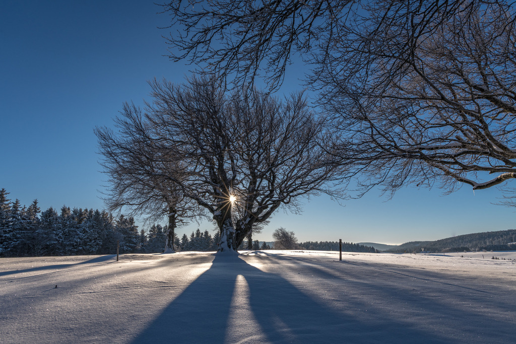 schauinsland_150225-39 | <div id="allefotografen-seal-verified-green"></div><script src="https://www.allefotografen.de/956728/seal-verified-green/seal.js" async="async"></script> - Realisiert mit Pictrs.com