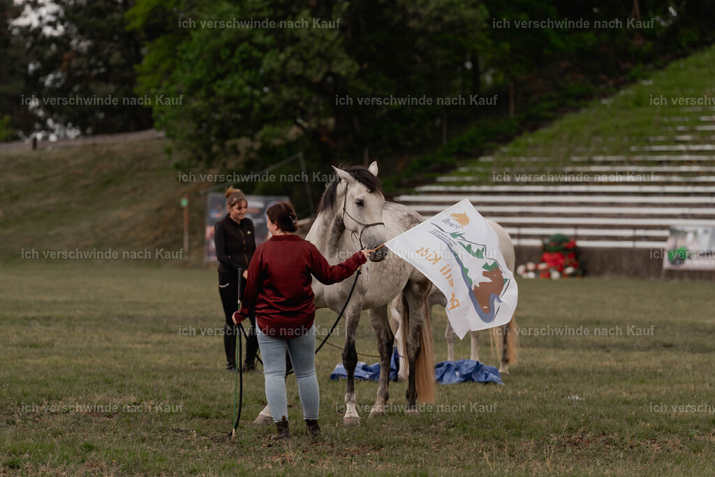 Showprogramm-30 | working equitationturnier fotograf videograf stoibphotography marixx film working equitation deutschland reitsport turnierfotografie eventfotografie equestrian events