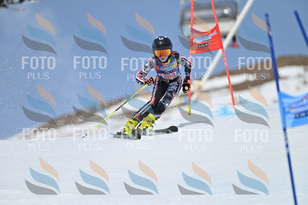 BGV_2463 | holidayphoto