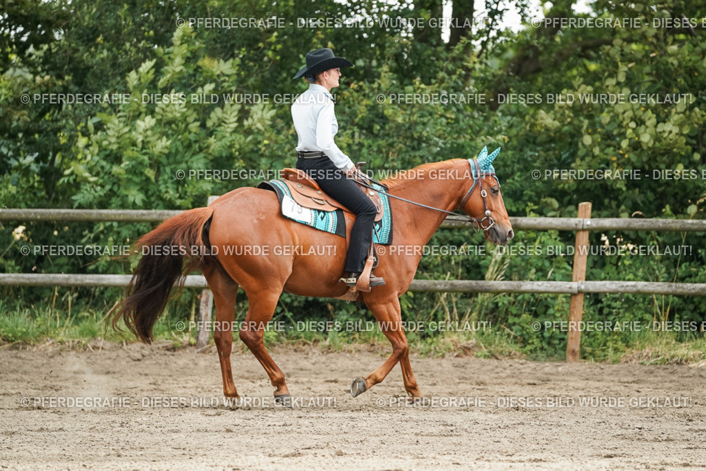 DSC03843 | Pferdegrafie