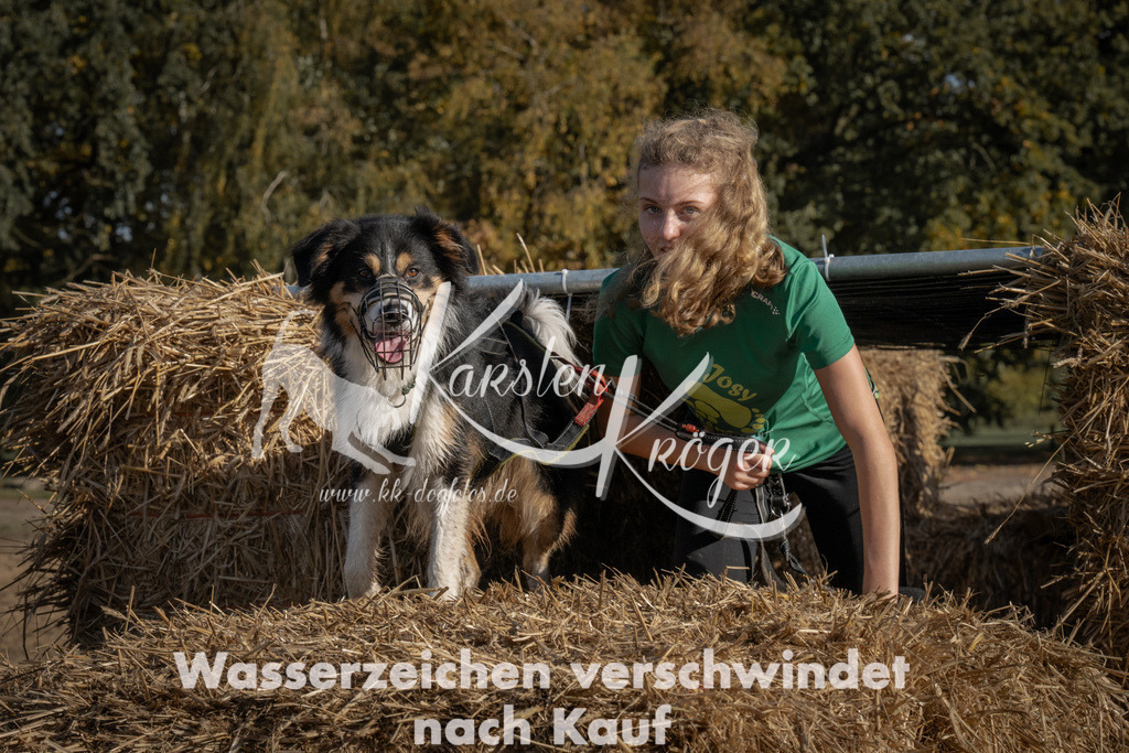 1055_ZZ99571 | kk-dogfotos