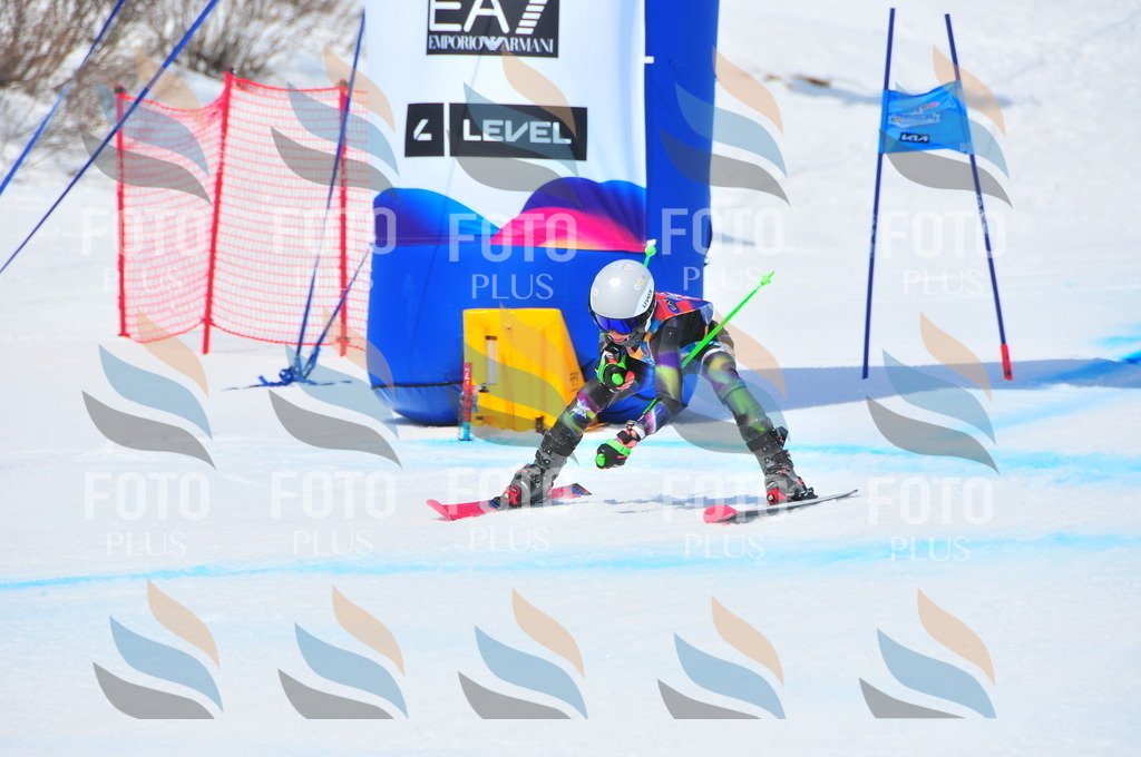 DSC_6817 | holidayphoto