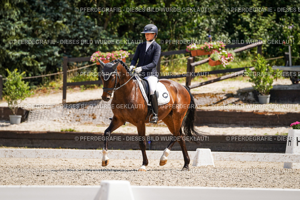 DSC01389 | Pferdegrafie