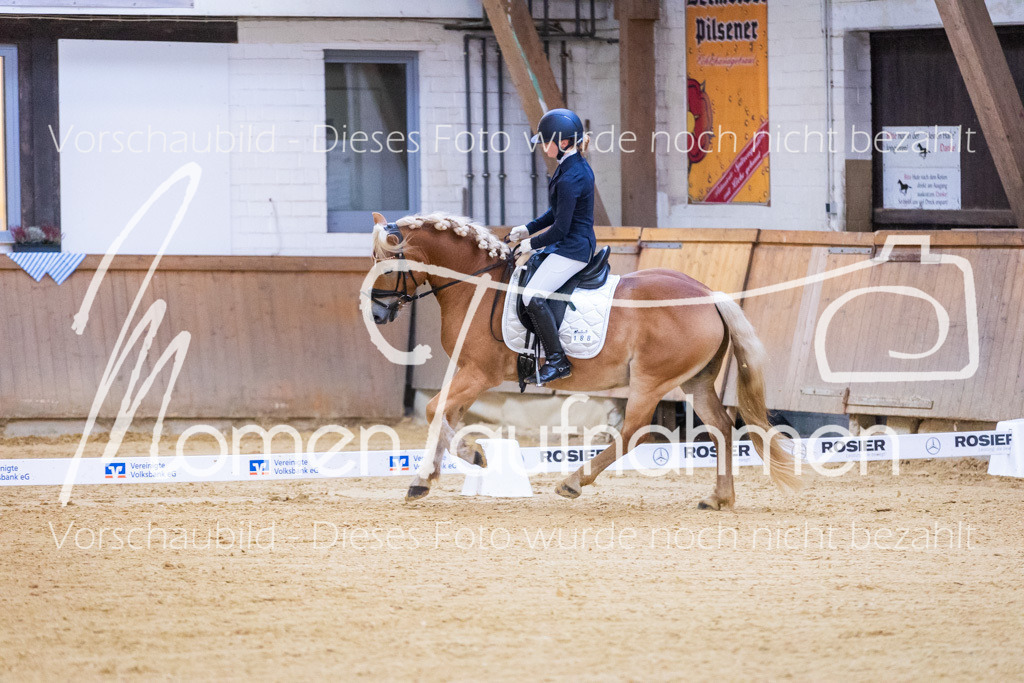 Sth-A-Dre-1St-097 | MomenTaufnahmen Pferdesportfotos