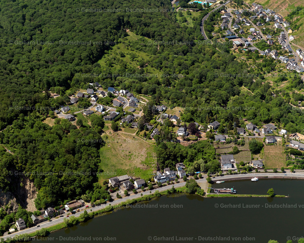 cochem-zell-3114452 | cochem-zell 452