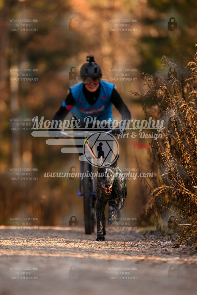 MompixPhotography_DM_AKDM_SO_2025_Scooter-176 | PayLife