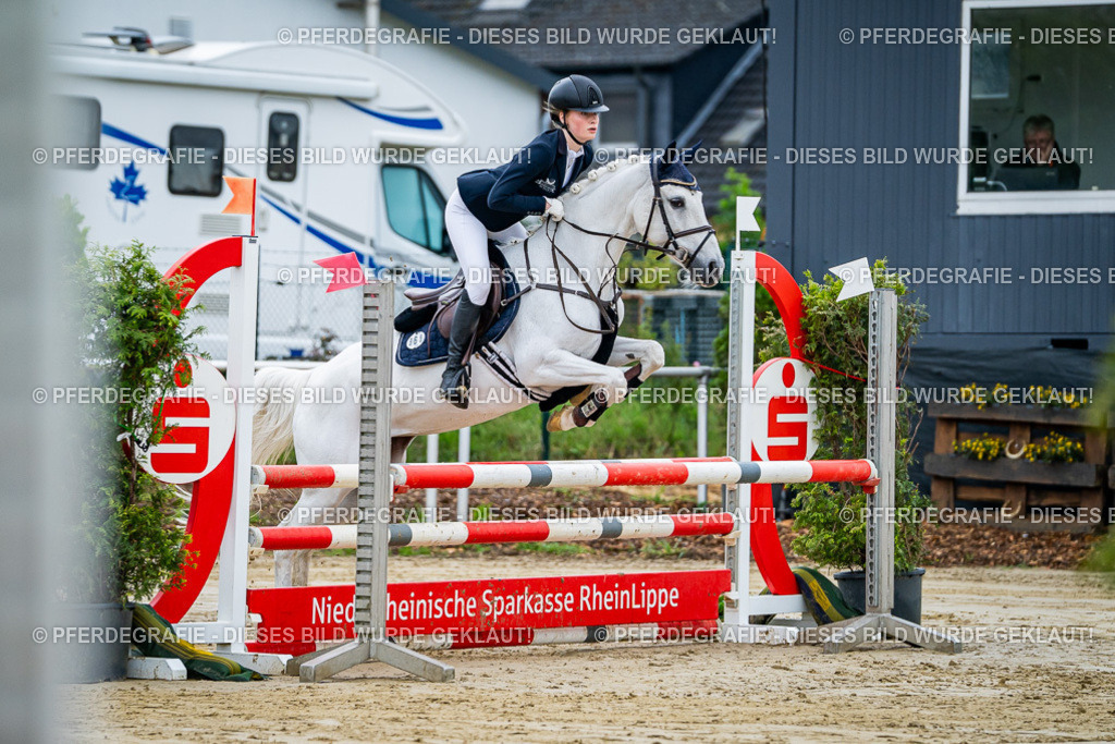 DSC01706 | Pferdegrafie