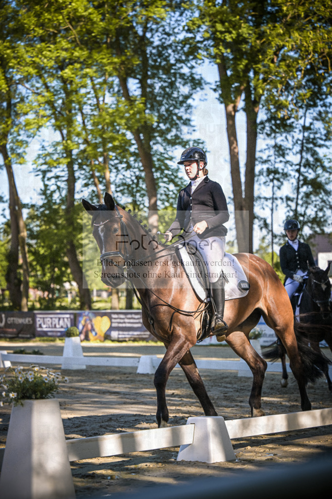 DOS_3147 | Entdecke hochwertige Reitturnierfotos von Foto Oger. Professionell, emotional und authentisch – jetzt Lieblingsmomente im Shop bestellen.Deutschlandweite Turnierfotografie. - Realisiert mit Pictrs.com