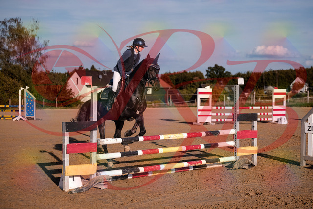2026_10_03_Siefer-Hof_171517_Z81_12288367 | Professionelle Reitsport-, Turnier- und Eventfotografie von Robert Broda. Galerien mit ausgewählten und bearbeiteten Bildern direkt online ansehen und bestellen.