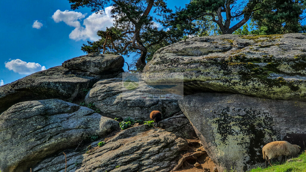 Burgruine Liebenstein | Impressionen rund um Hochfranken - Frankenwald - Fichtelgebirge - Realisiert mit Pictrs.com