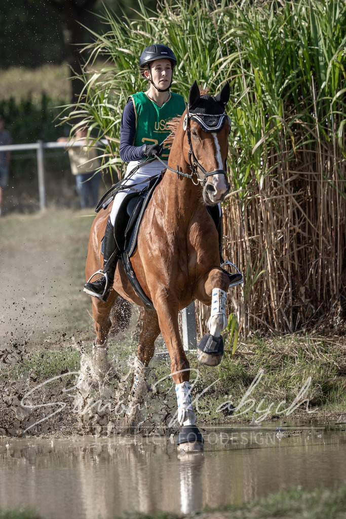 20250907-_3LI3617 | Tierfotografie Pferde, Hunde, Katzen, Haustiere.
Turnierfotografie Reitturniere, Reiten, Springreiten, Dressur in Hanau, dem Main-Kinzig-Kreis und dem Rhein-Main- Gebiet um Frankfurt