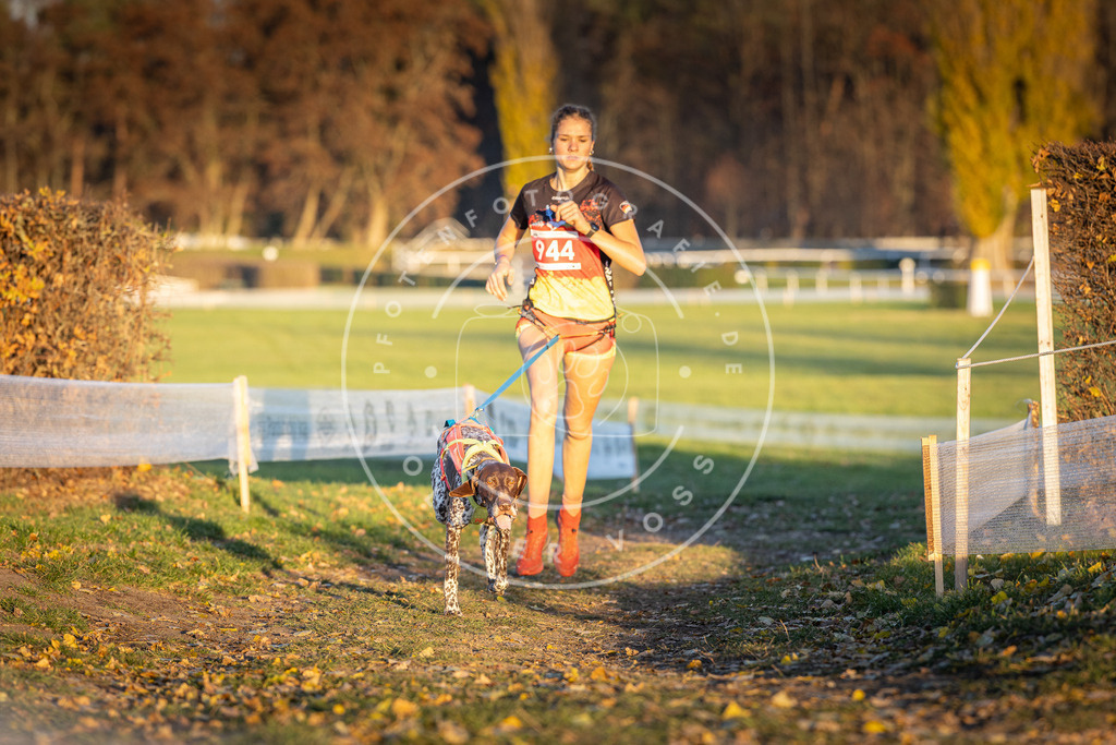 CaniXpix_DV3A5422 | Hundefotografie, Tierfotograf, Pfotenfotografie, Fotoshooting Hund, Hunde Portrait, Hundesport, Hundeportraits, Heideshooting, Hunde, Sportfotograf, Hundefotograf, Turnierhundsport, THS,  - Realisiert mit Pictrs.com