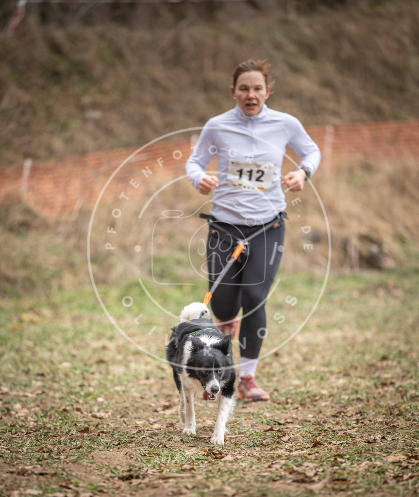 Pfotenfotografie_DV3A7551 | Hundefotografie, Tierfotograf, Pfotenfotografie, Fotoshooting Hund, Hunde Portrait, Hundesport, Hundeportraits, Heideshooting, Hunde, Sportfotograf, Hundefotograf, Turnierhundsport, THS,  - Realisiert mit Pictrs.com