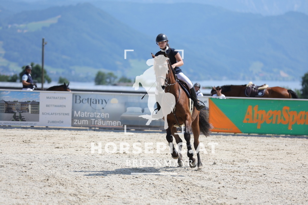 0P6A0030 | Willkommen bei Brunnmayr - Design & Fotografie – Ihrem Spezialisten für Reitturniere und Pferdeveranstaltungen in Oberösterreich, Salzburg und Bayern! Seit über 17 Jahren sind wir leidenschaftlich dabei.
