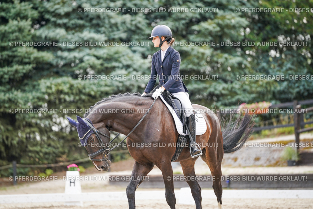 DSC01516 | Pferdegrafie