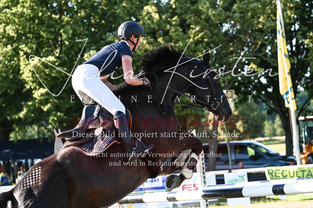 DSC_3086 | Pferde- und Turnierfotografie in Westsachsen. Pferdeportraits, Auftragszeichnungen und intuitive Kunst.