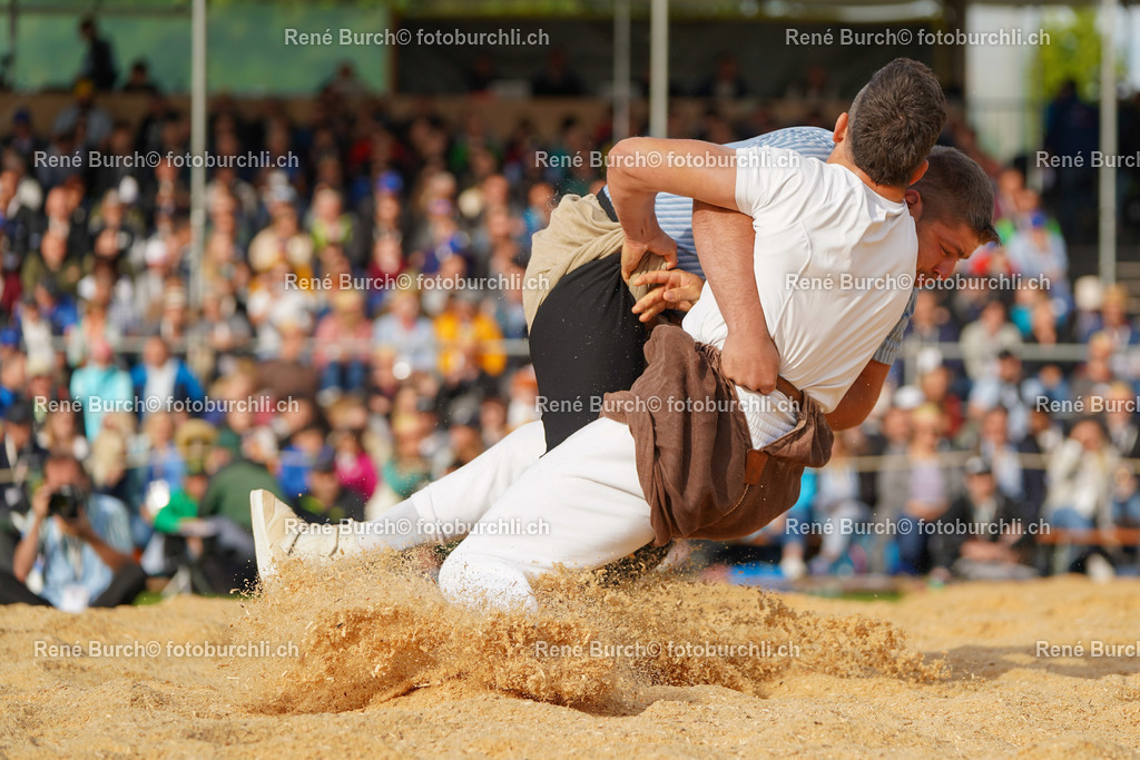20220529-DSC07412 | René Burch leidenschaftlicher Fotograf aus Kerns in Obwalden.  Hier finden sie Sport, Landschaft und Natur Fotografie.
 - Realisiert mit Pictrs.com