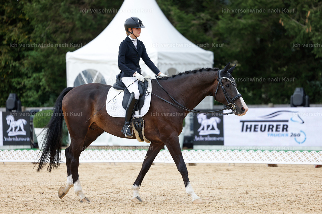 3-147-Dressur M_-StoibPH-2376 | working equitationturnier fotograf videograf stoibphotography marixx film working equitation deutschland reitsport turnierfotografie eventfotografie equestrian events