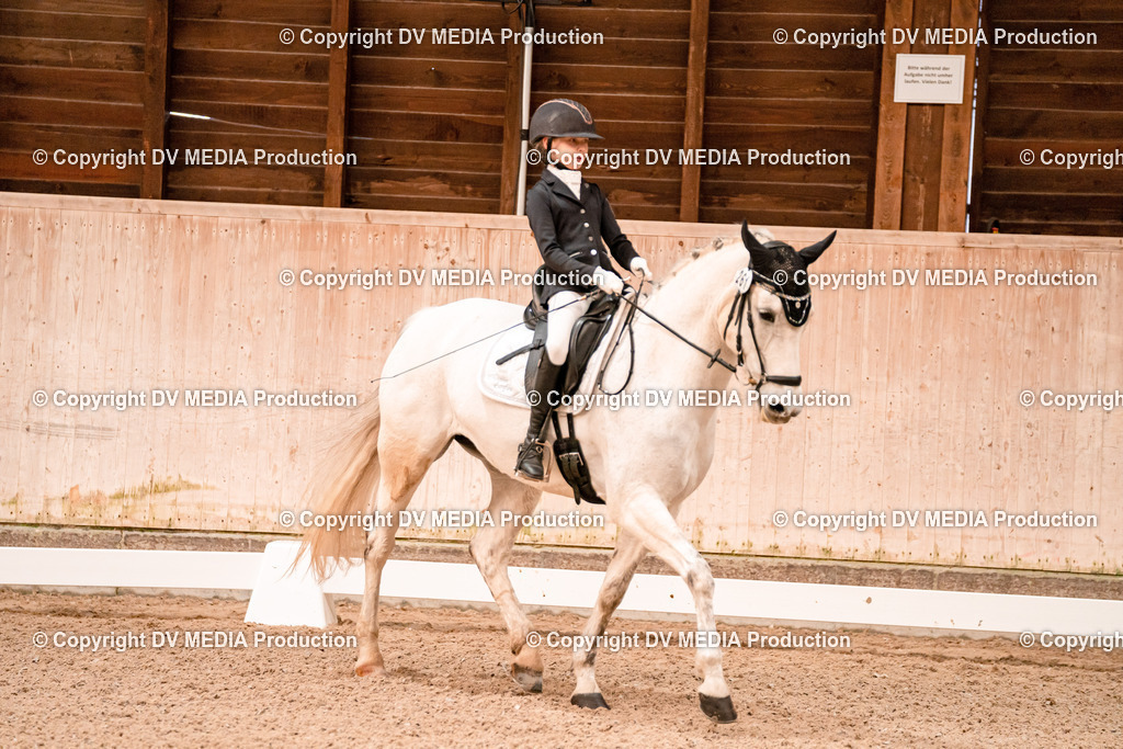 Dressur Tag 2-26 | dv-media-shop - Realisiert mit Pictrs.com