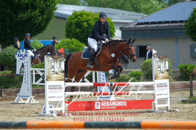 DKP41466 | Turniersportfotografie; Pferdefotografie; Dressurfotografie