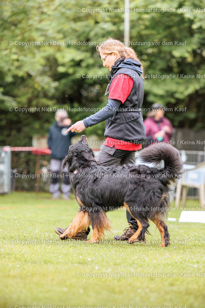 RO-Blumenthal-2026-Nickbest-Hundefotografie-1002 | Dein Hund! Dein Moment! Deine Erinnerungen! Hundefotografie in Bremen Blumenthal. Ich fange die besonderen Momente deines Vierbeiners ein – ob Indoor mit Blitzanlage oder in der freien Natur. Sicher dir dein Moment und dein Termin für eure Erinnerungen.