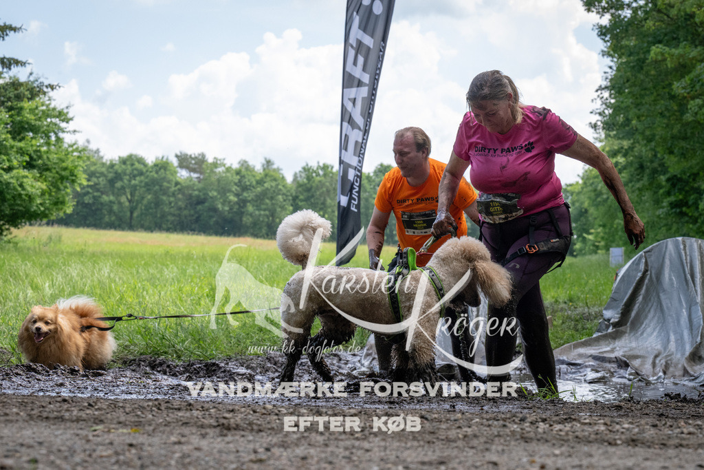 1143_ZZ94250 | kk-dogfotos