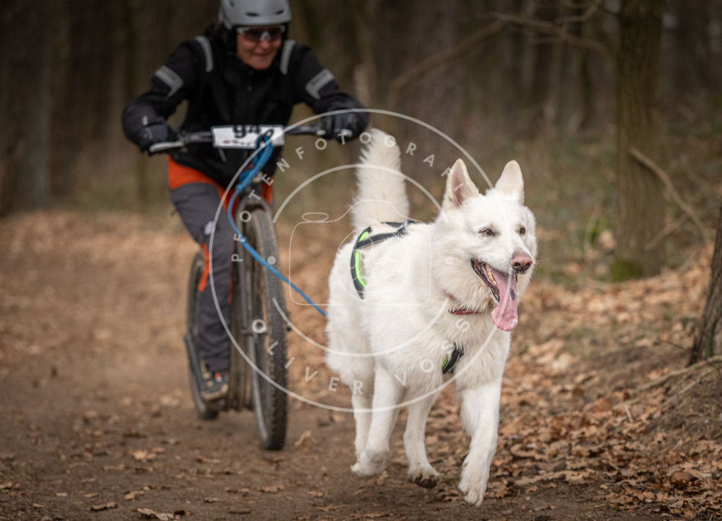 Pfotenfotografie_DV3A7255 | Hundefotografie, Tierfotograf, Pfotenfotografie, Fotoshooting Hund, Hunde Portrait, Hundesport, Hundeportraits, Heideshooting, Hunde, Sportfotograf, Hundefotograf, Turnierhundsport, THS,  - Realisiert mit Pictrs.com