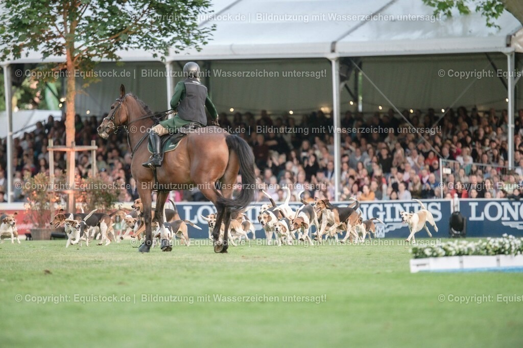 20230526_Pferdenacht_0538 | equistock