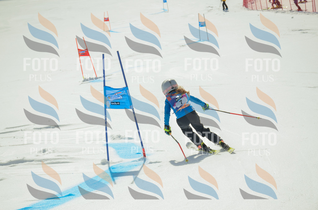 _ELE4498 | holidayphoto