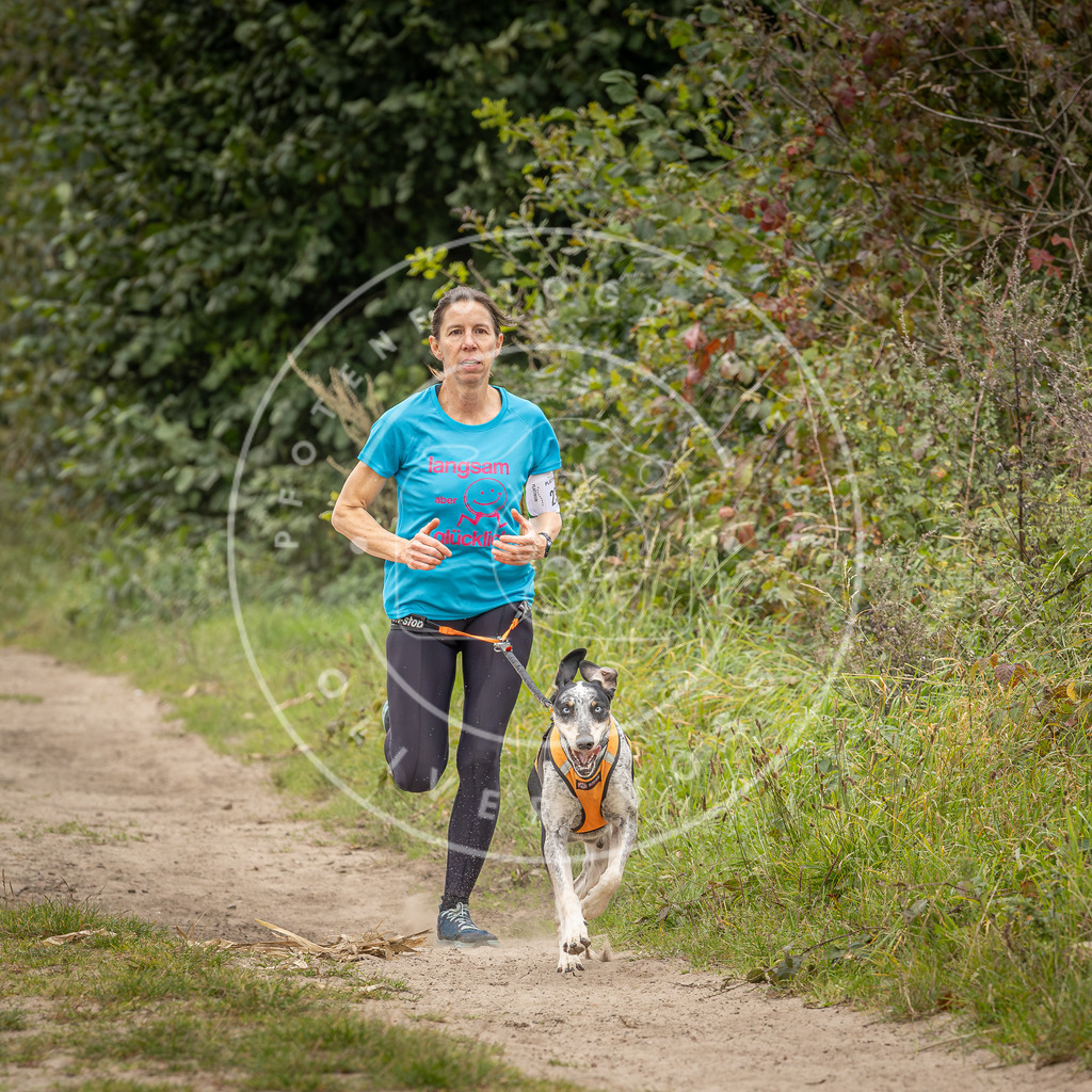 Pfotenfotografie_DV3A7832 | Hundefotografie, Tierfotograf, Pfotenfotografie, Fotoshooting Hund, Hunde Portrait, Hundesport, Hundeportraits, Heideshooting, Hunde, Sportfotograf, Hundefotograf, Turnierhundsport, THS,  - Realisiert mit Pictrs.com