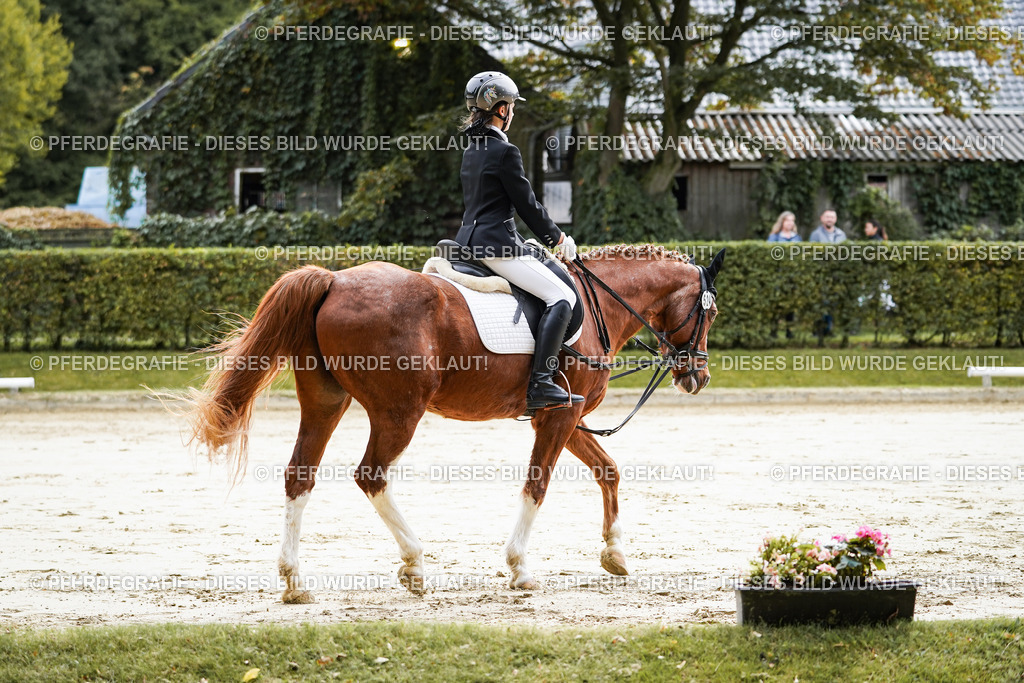 DSC05195 | Pferdegrafie