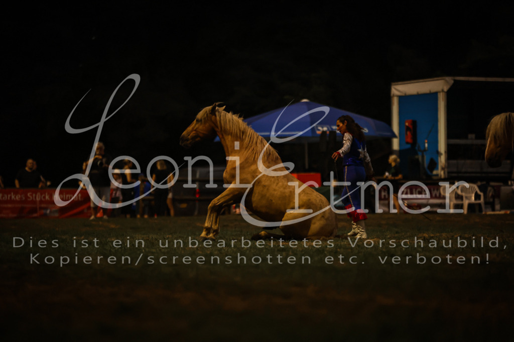 SaShow00297 | Leoni Ertmer Photography - Realisiert mit Pictrs.com