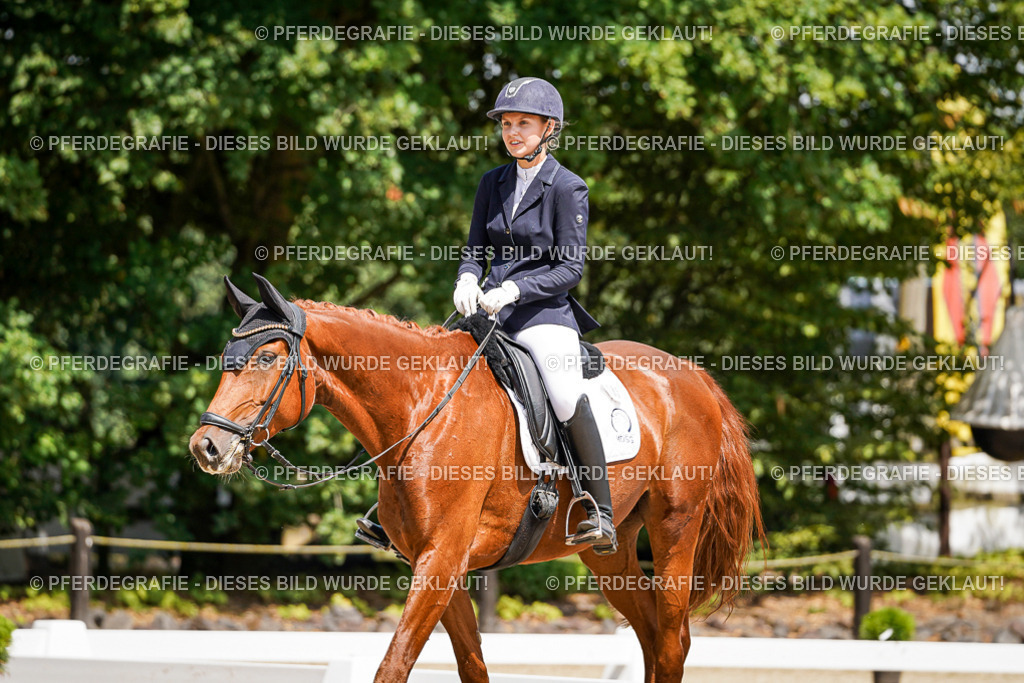 DSC01317 | Pferdegrafie