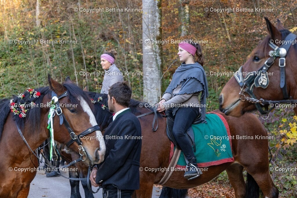 LL24-271 | foto-bettina-krinner - Realisiert mit Pictrs.com