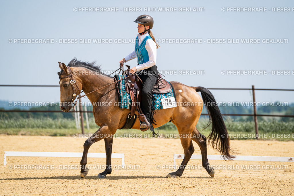 DSC00969 | Pferdegrafie