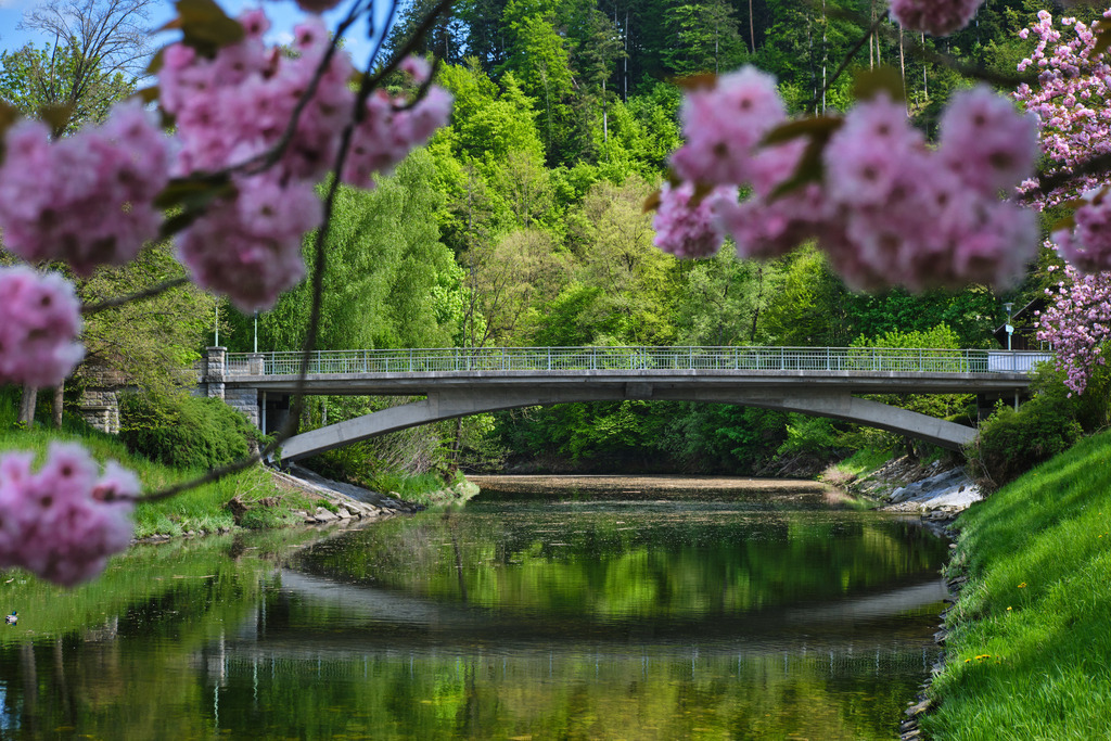 Strassenbrücke über die Kamp | Krumau an der Kamp, Austria - May 02, 2025: Strassenbrücke über die Kamp, im Vordergrund blühende Bäume. - Realisiert mit Pictrs.com