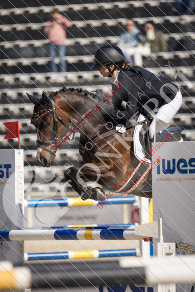 IMG_3395 | Sport-, Event- und Tierfotos in Profiqualität. Einfach auswählen, bestellen und herunterladen. Dein Moment – perfekt festgehalten.