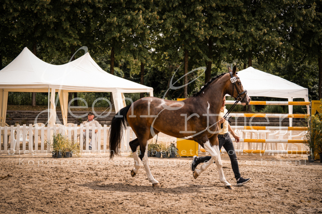 3.Fr00187 | Leoni Ertmer Photography - Realisiert mit Pictrs.com