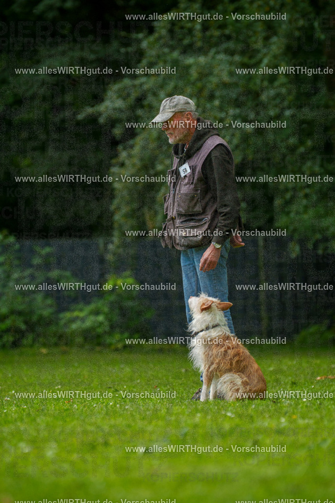 @allesWIRTHgut_Tierfotografie - www.allesWIRTHgut.de - 7R501318 | Professionelle Tierfotografie in Mönchengladbach von Daniel Wirth (allesWIRTHgut). Liebevolle & natürliche Bilder von Hunden & Katzen für unvergessliche Erinnerungen.