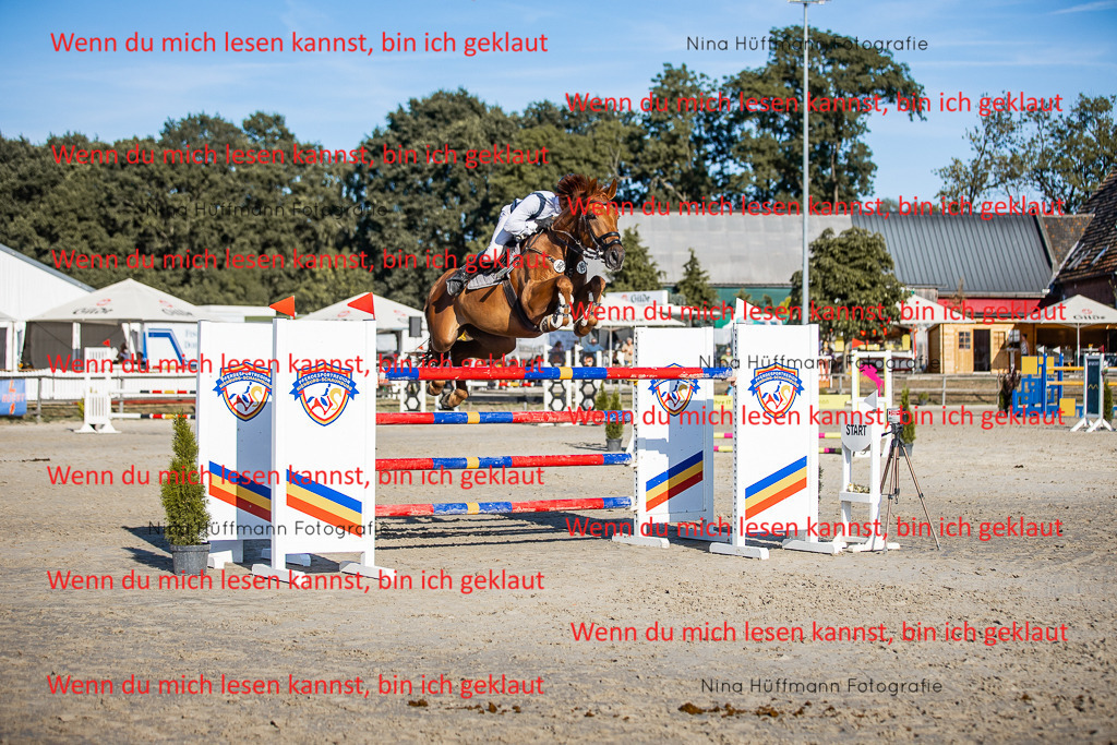 BK1A8723 | Turnierbilder Turnierfotos Nina Hüffmann Turnierfotografie Pferdefotografie Tierzeichnung Haustierzeichnung Pferdezeichnung Hundezeichnung Videograf  - Realisiert mit Pictrs.com