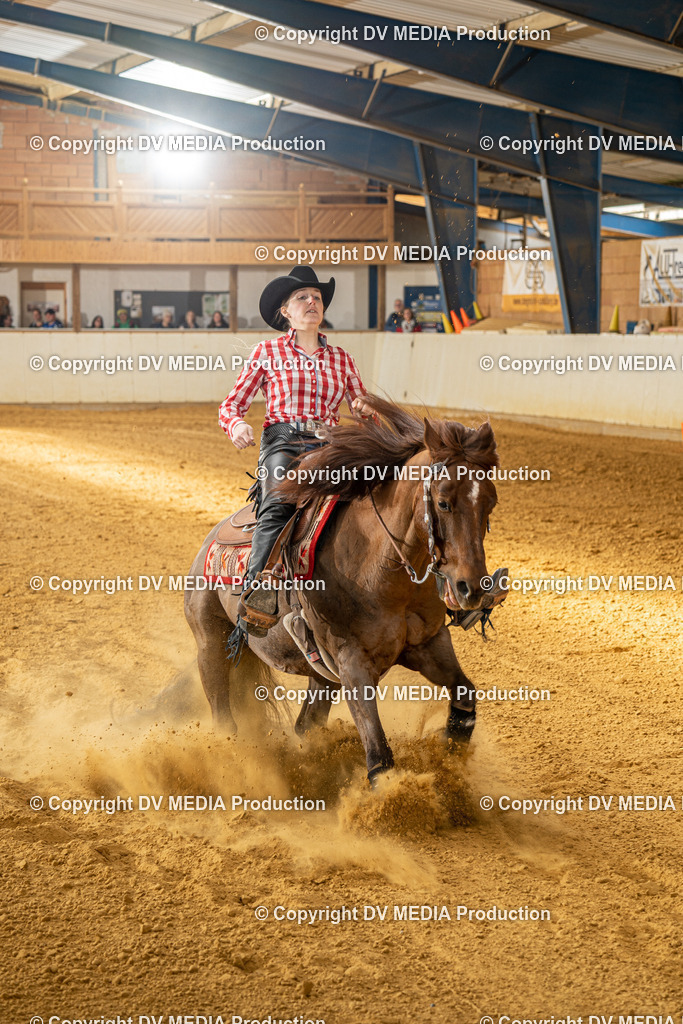 MIT01037 | dv-media-shop - Realisiert mit Pictrs.com