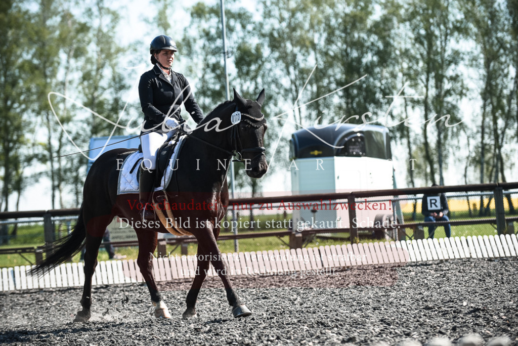 DSC_8612 | Pferde- und Turnierfotografie in Westsachsen. Pferdeportraits, Auftragszeichnungen und intuitive Kunst.