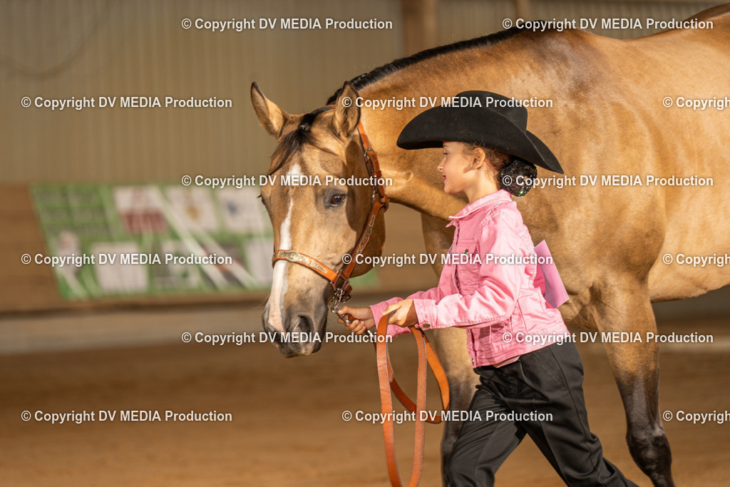 NID02402 | dv-media-shop - Realisiert mit Pictrs.com