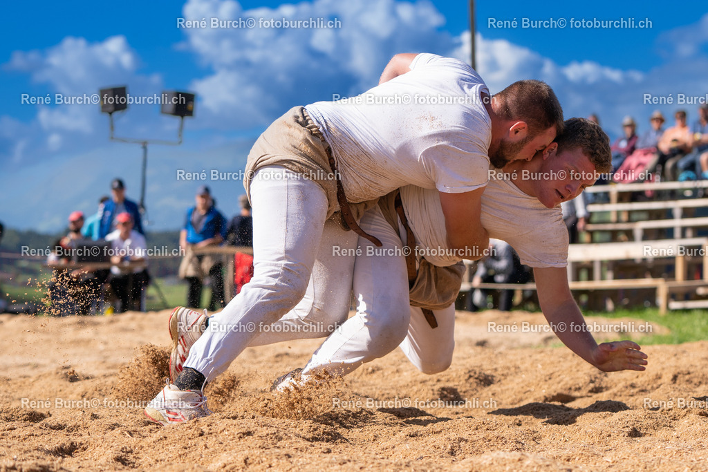 DSC08799-2 | René Burch leidenschaftlicher Fotograf aus Kerns in Obwalden.  Hier finden sie Sport, Landschaft und Natur Fotografie.
 - Realisiert mit Pictrs.com