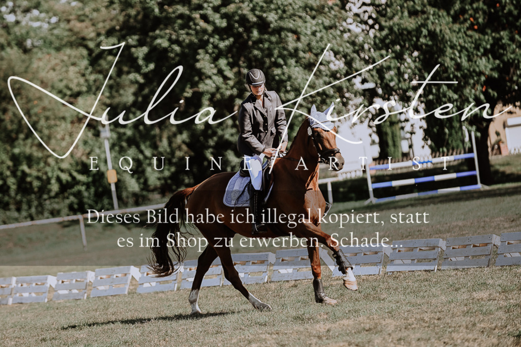 DSC_9277 | Pferde- und Turnierfotografie in Westsachsen. Pferdeportraits, Auftragszeichnungen und intuitive Kunst.