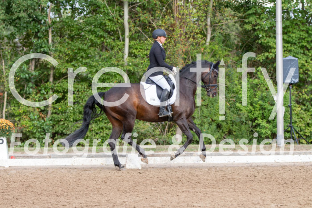 IMG_4869 | Creatify Fotografie