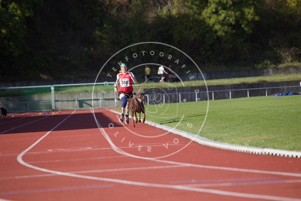 0L8A9508 | Hundefotografie, Tierfotograf, Pfotenfotografie, Fotoshooting Hund, Hunde Portrait, Hundesport, Hundeportraits, Heideshooting, Hunde, Sportfotograf, Hundefotograf, Turnierhundsport, THS,  - Realisiert mit Pictrs.com