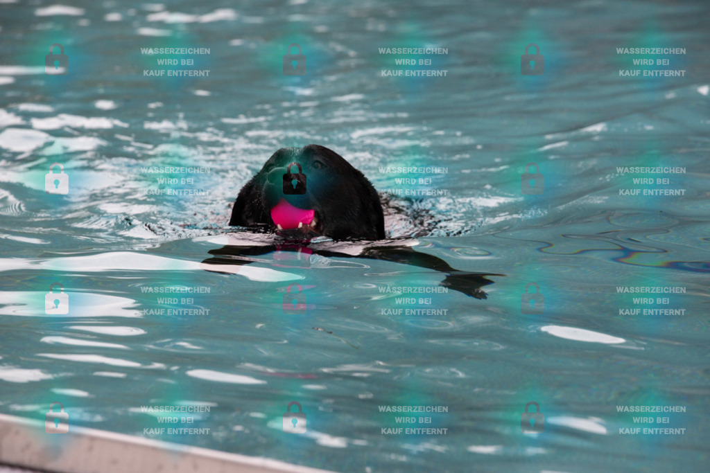 _HP_7510_1000o | HetPix, HetPix Fotodesign, Fotografie, Fotodesign, Webshop, Sportfotografie, Portraitfotografie, Onlineshop, Sportfotografie, Polch, Motorsportfotografie, Eventfotografie